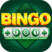 bingo 101 apk image